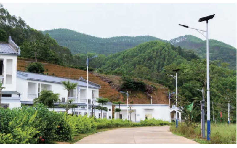 RURAL ROAD LIGHTING