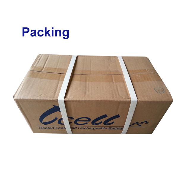 12V 80AH maintenance free battery