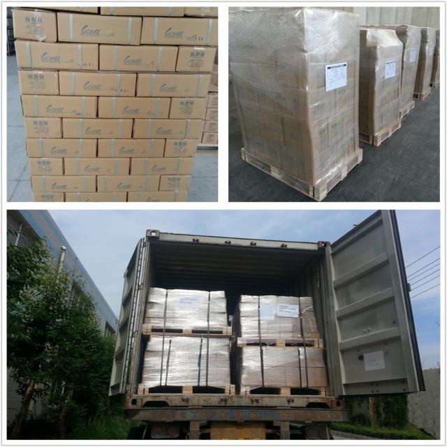 Lead Acid Electric Vehicle Battery