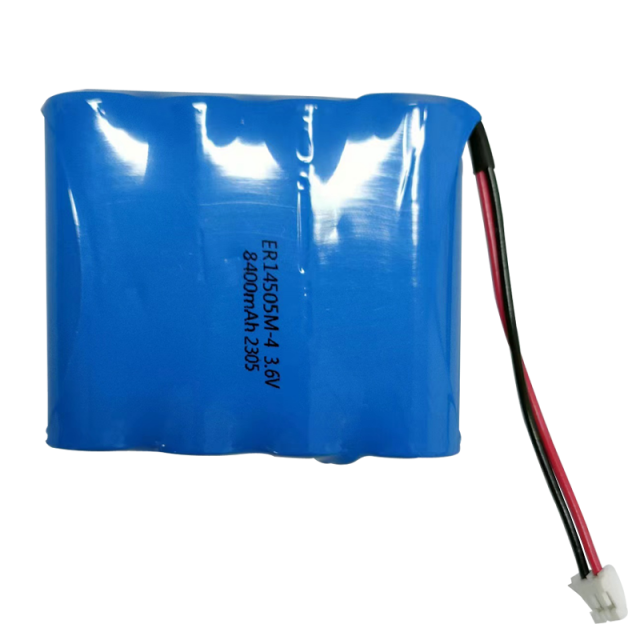 ER14505M-4 lithium battery pack with wires and connector