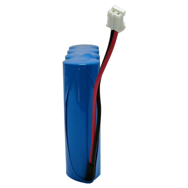 ER14505M-4 lithium battery pack with wires and connector